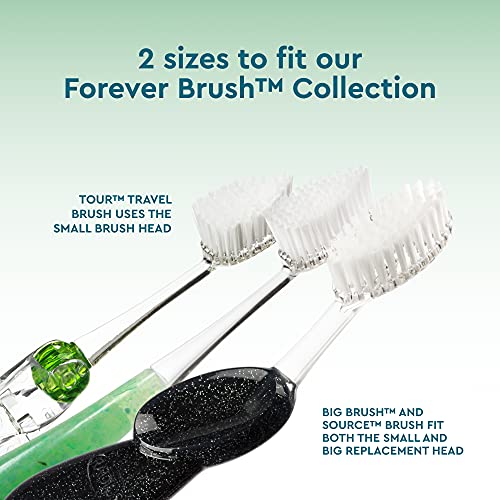 RADIUS Toothbrush Replacement Brush Heads 2-Count Improve Gum Health & Reduce Gum Issues - Medium - Pack of 6 - Image 4