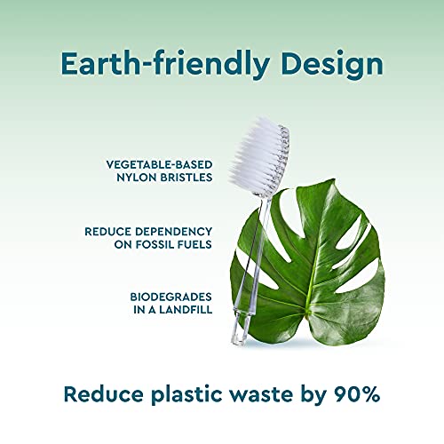 RADIUS Toothbrush Replacement Brush Heads 2-Count Improve Gum Health & Reduce Gum Issues - Medium - Pack of 6 - Image 3