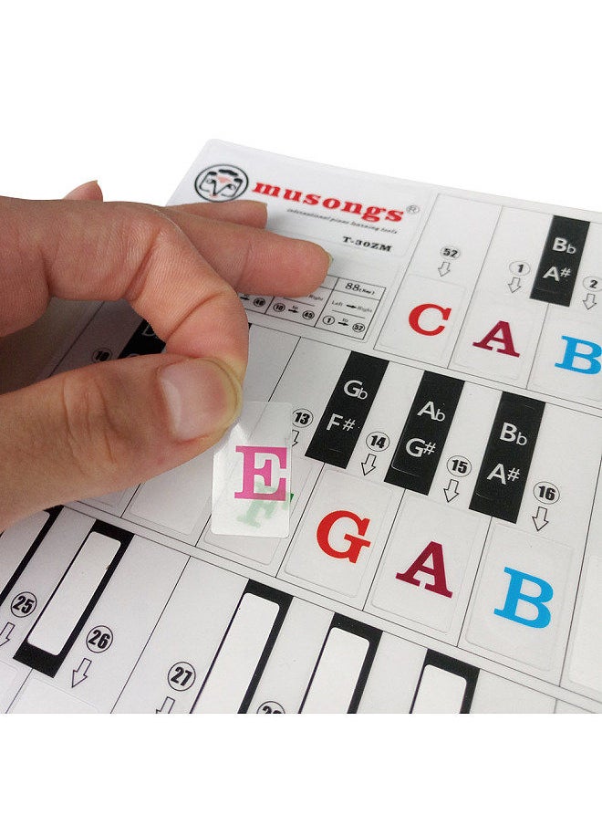 Piano Keyboard Stickers for 37/ 49/ 61/ 88 Keys Keyboards Removable Transparent Bigger Colorful Letters for Kids Beginners Piano Learning Practice