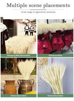 HomarKet 100 Pieces Dried Natural Wheat Sheave Bundle Premium Fall Arrangements with Natural Laces Burlap Craft Lace Ribbon Roll for DIY Design  - Image 3