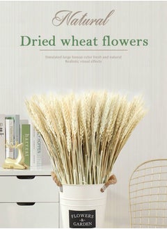 HomarKet 100 Pieces Dried Natural Wheat Sheave Bundle Premium Fall Arrangements with Natural Laces Burlap Craft Lace Ribbon Roll for DIY Design  - Image 1