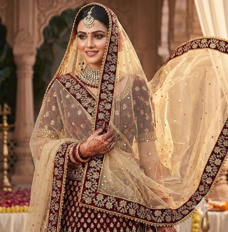 Navti Creations Women's Embroidered Net Dupatta (4-01_Beige, Golden, Maroon_Free Size) - Image 4