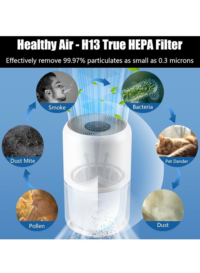 صاروخ فلاير فلتر بديل Core 200S مكون من 1 عبوة لجهاز تنقية الهواء LEVOIT Core 200S ، فلتر الكربون المنشط 3 في 1 H13 True HEPA ، أبيض - Image 5