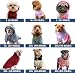 Spark Paws Dog Hoodie Premium Dog Sweater for Small Medium and Large Dogs Warm Outfits for French Bulldogs Pitbull Puppy Winter Jacket Alternative Red Black L - Image 2