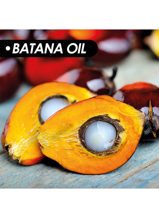 EELHOE - Batana Oil for Hair Growth Batana Oil - Batana Oil Organic for Healthy Hair - Repair Damaged Hair, Nourishes Thin Hair Scalp Skin and Loss Hair Growth Fir for All Hair Types, 30 ml - Image 1