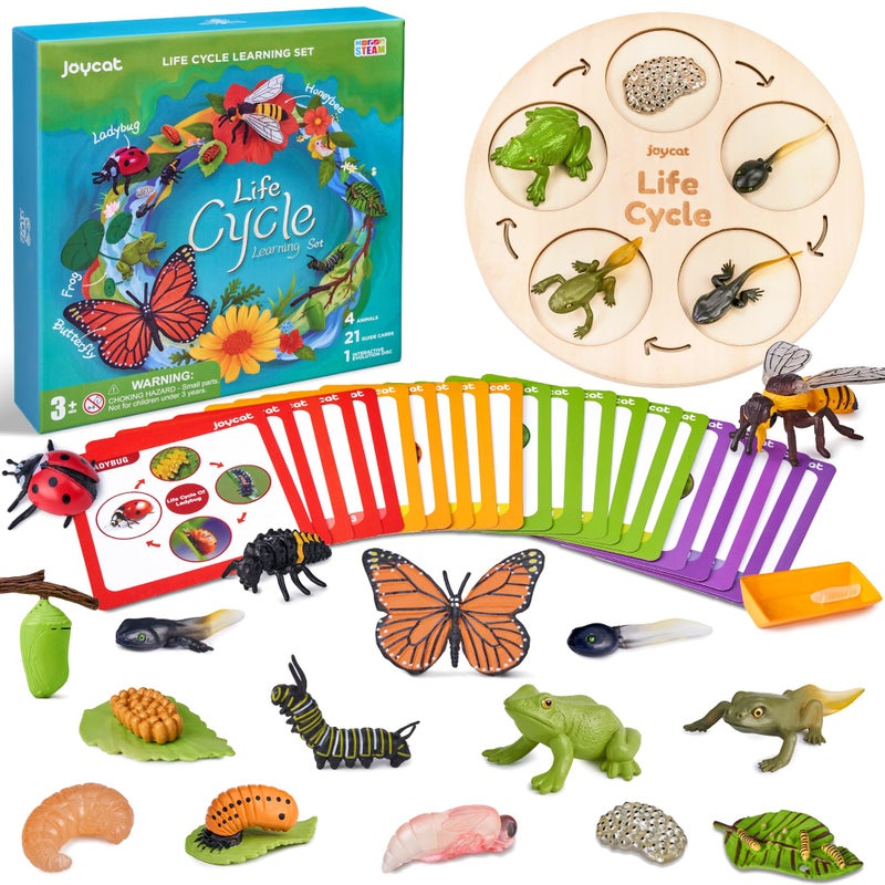 JoyCat Life Cycle Learning Education Toys, Insect Caterpillar to Butterfly kit, Ladybug, Bee, Tadpole to Frog Kit Life Cycle Toys for Kids, Preschool Learning Activities for Age 3 4 5 6 7 8 - Image 1
