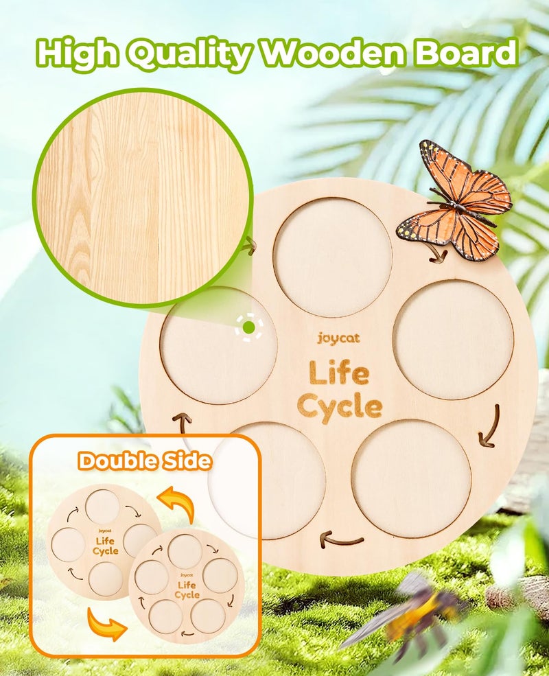 JoyCat Life Cycle Learning Education Toys, Insect Caterpillar to Butterfly kit, Ladybug, Bee, Tadpole to Frog Kit Life Cycle Toys for Kids, Preschool Learning Activities for Age 3 4 5 6 7 8 - Image 3