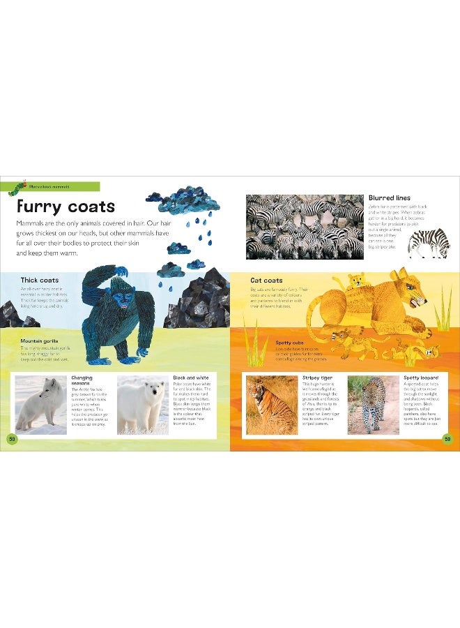 The Very Hungry Caterpillar's Very First Animal Encycl: An Introduction to Animals, For VERY Hungry Young  - Image 5