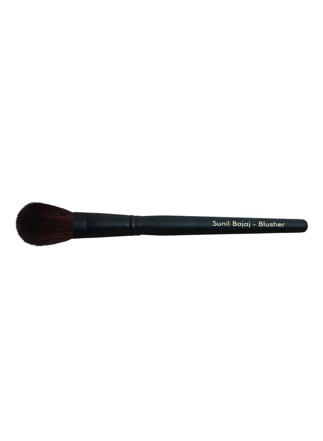 Sunil Bajaj, Makeup Brushes (Blusher Brush) - Image 2