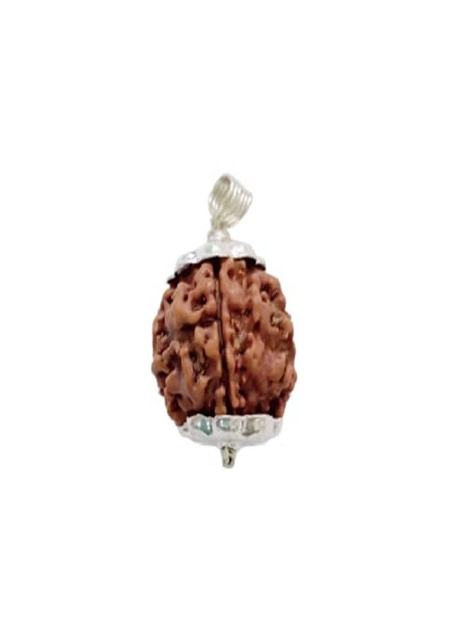 Certified Gems Easy to Wear 4 Mukhi Nepal Rudraksha with Pendant and Dori Original Certified - Image 1