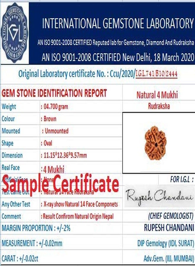 Certified Gems Easy to Wear 4 Mukhi Nepal Rudraksha with Pendant and Dori Original Certified - Image 5