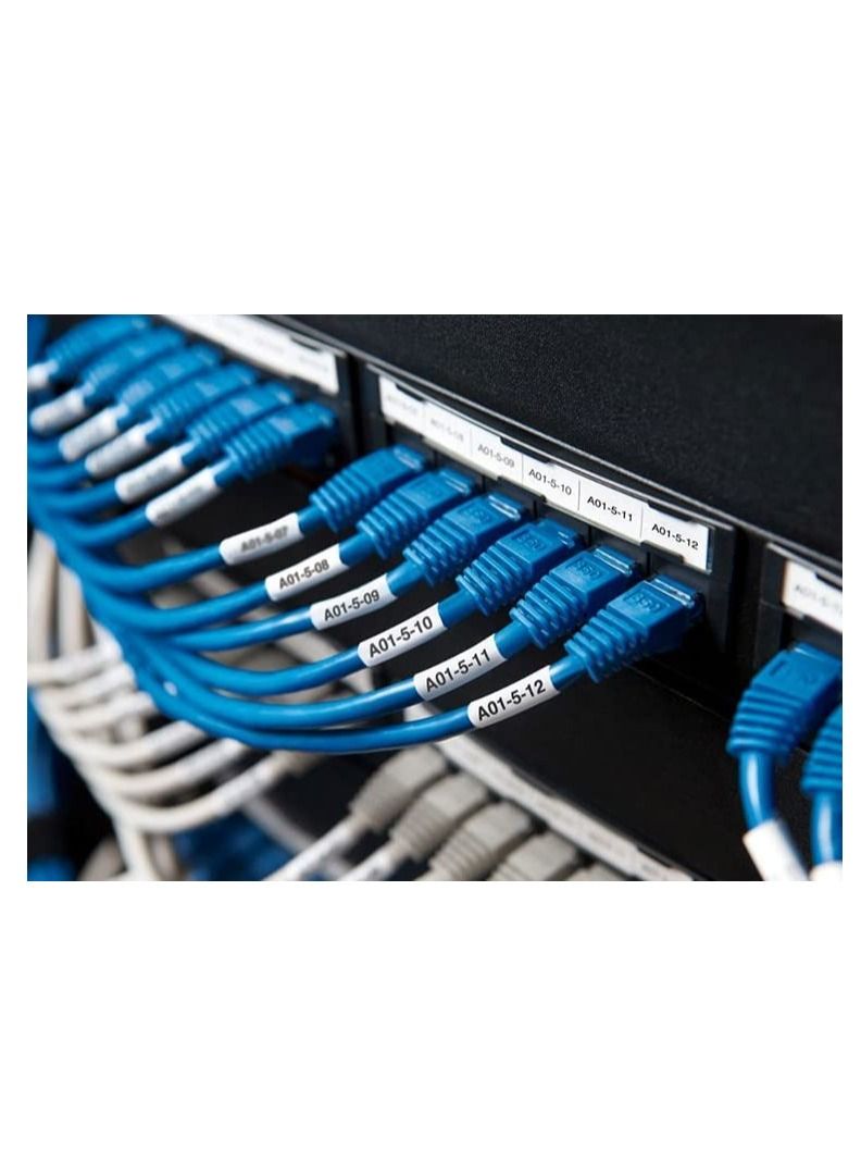 RACO Network Cable CAT6 Blue Color 100 Meter Roll - Image 2