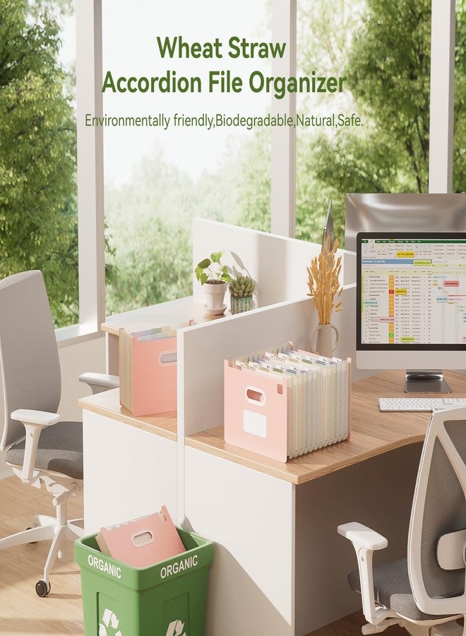 EcoStash 12 Pockets Accordion File Organizer, Wheat Straw File Folders, Upright & Open Top, Monthly Bill Receipt Organizer, 100% BPA Free, Return to Nature, Letter/A4 Size - Strawberry Pink - Image 2
