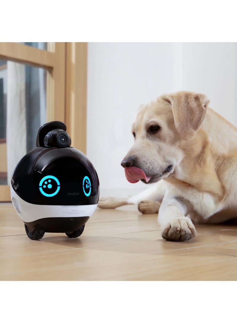 Enabot - Enabot® EBO X -AI Family Companion Robot. Home Robot with GPT, Harman AudioEFX Speaker, Alexa Voice Control Built in, Movable Home Monitoring Robot with Smart Mapping, Stabilized 4K UHD Security Pet Cam with Night Vision. [Full Pack Set + 12 Months International Warranty] - Image 1