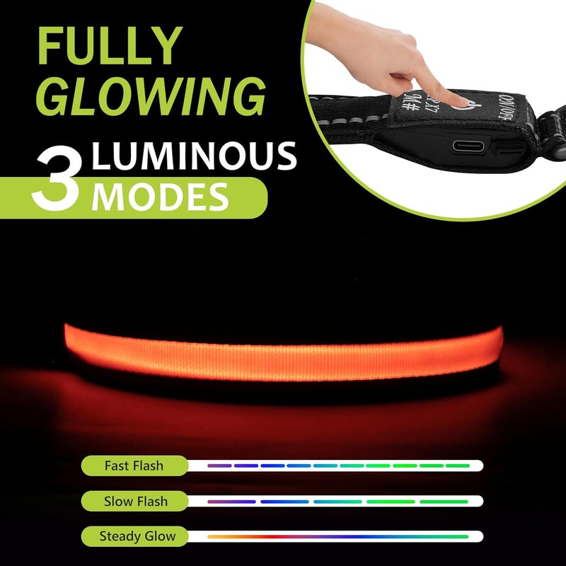 ROUWINNE Nylon Light Up Dog Collar for Dogs - Rechargeable LED Collar for Dogs at Night, Adjustable Waterproof Glow Collars (Orange, Pack of 1, S) - Image 2