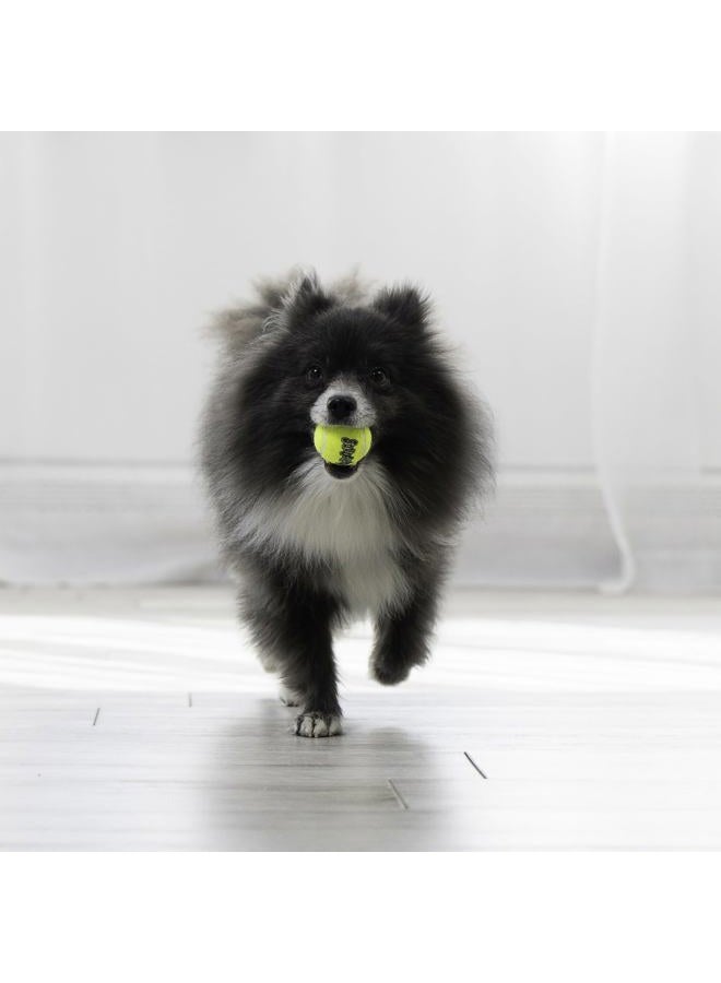 KONG - Squeakair Ball - Dog Toy Premium Squeak Tennis Ball, Gentle on Teeth (X-Small (6 Pack)) - Image 4