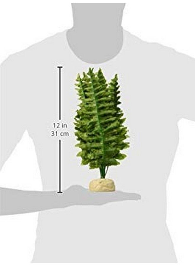 إكسو تيرا، زواحف، برمائيات، نبات سرخس بوسطن، متوسط الحجم - Image 2