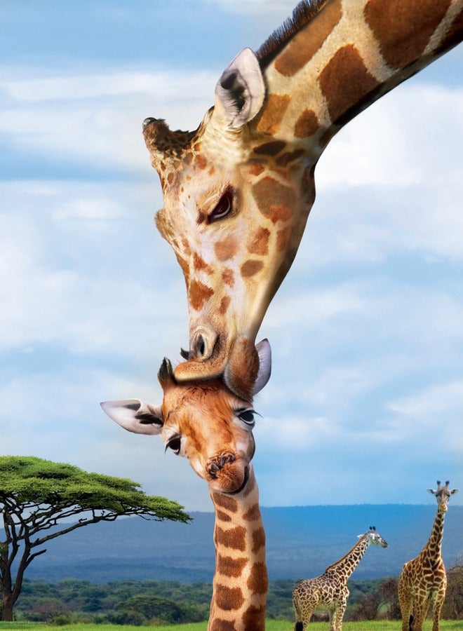 EuroGraphics Giraffe Love 250 Piece Puzzle - Image 1