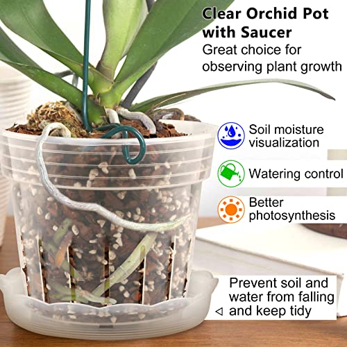 Fabulas Orchid Pot, 8 Clear Orchid Pots with Holes and 6 Saucers, 2 Each of 4.1, 4.8, 5.7 and 6.4 Inch for Repotting, Plastic Planter Breathable Slotted Flower Plant Nursery Planter - Image 4