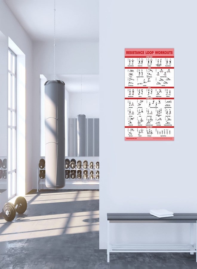 Palace Learning 2 Pack - Resistance Bands and Resistance Loops Workout Posters - Set of 2 Laminated Charts - Resistance Band Tubes and Loops Exercise Charts [Light] (18" x 24", LAMINATED) - Image 5
