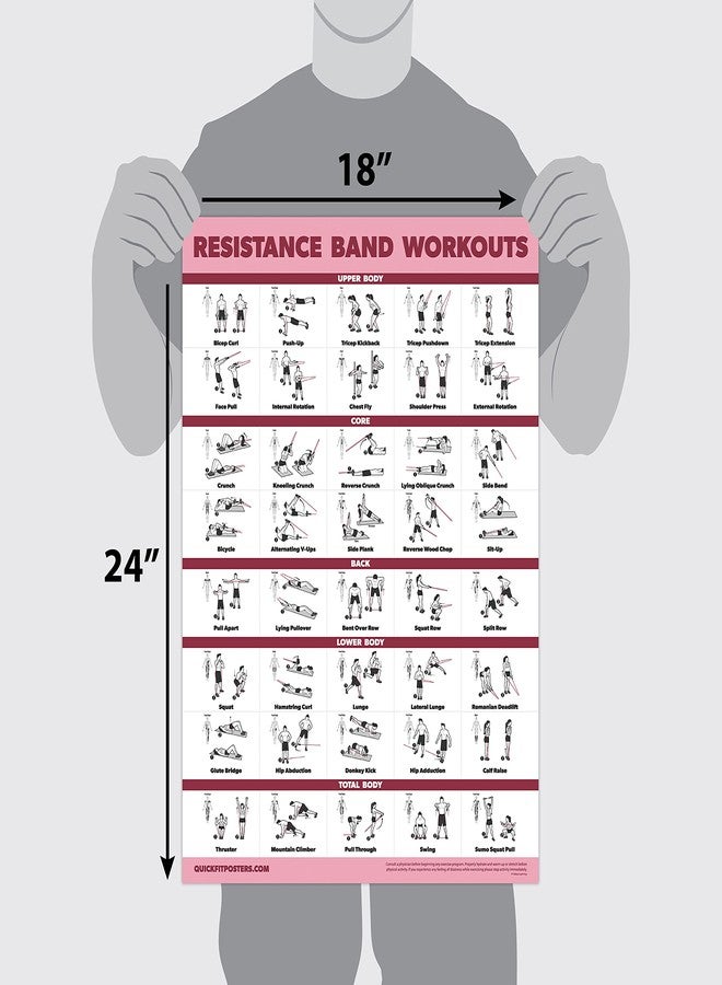 Palace Learning 2 Pack - Resistance Bands and Resistance Loops Workout Posters - Set of 2 Laminated Charts - Resistance Band Tubes and Loops Exercise Charts [Light] (18" x 24", LAMINATED) - Image 2