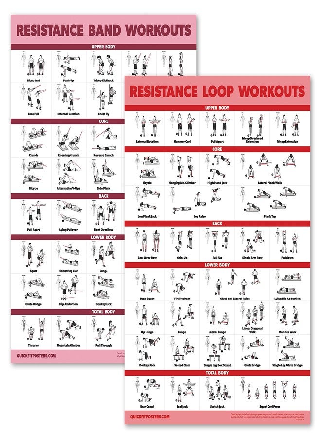 Palace Learning 2 Pack - Resistance Bands and Resistance Loops Workout Posters - Set of 2 Laminated Charts - Resistance Band Tubes and Loops Exercise Charts [Light] (18" x 24", LAMINATED) - Image 1