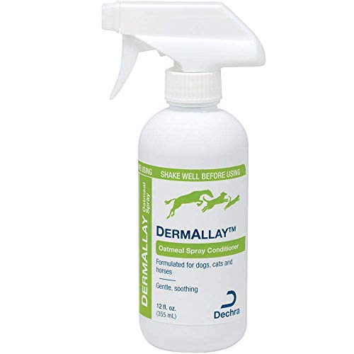 Dechra DermAllay Oatmeal Spray Conditioner for Dogs, Cats & Horses (8oz) - Gentle and Soothing, 8 Ounce (1810077) - Image 3