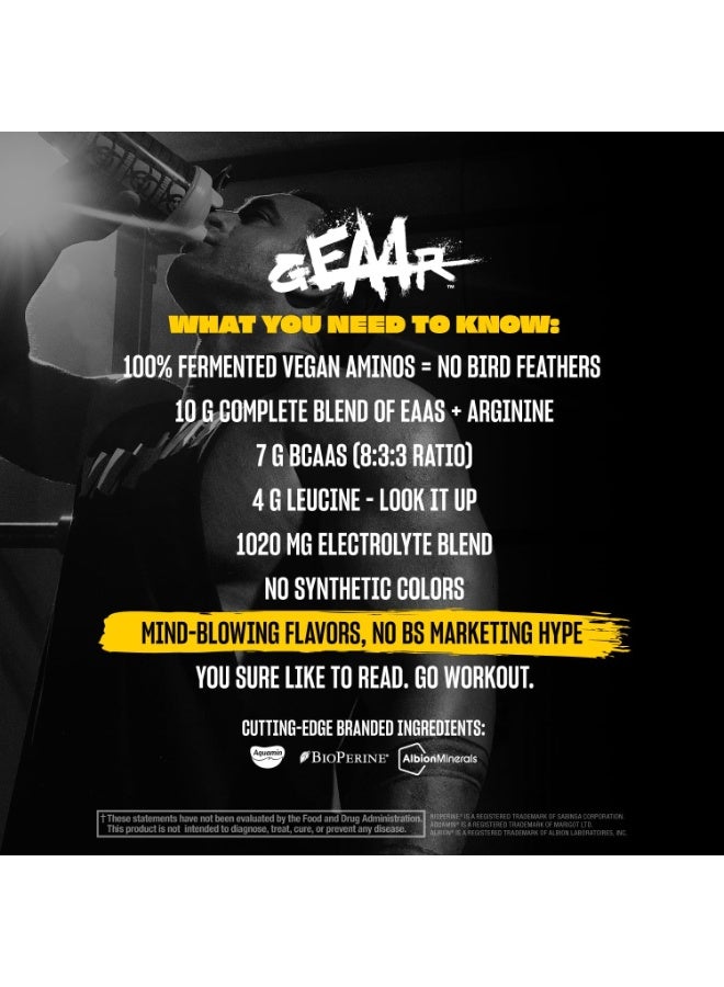 Mutant GEAAR Complete Essential Amino Acids 30 Double Serves Orange Rush – Muscle Recovery, Hydration & Performance EAA Formula - Image 5