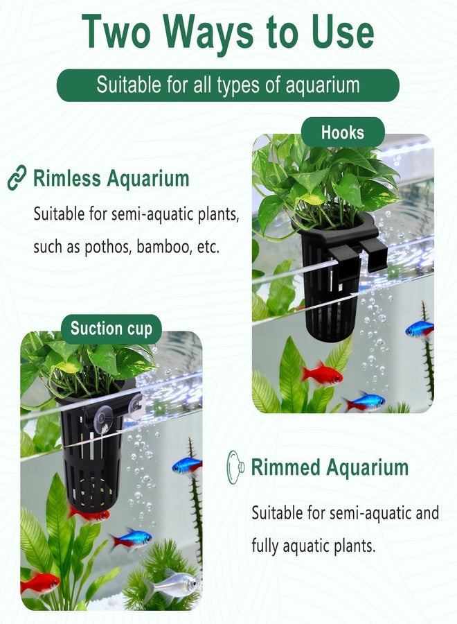 BENLIUDH 2PCS Upgraded Large Aquarium Plant Holder with 1.57" Extension Hooks and Suction Cups, Aquatic Plant Holder for Fish Tank Aquaponic Plants Cultivation and Aquascape Accessories, Black - Image 4