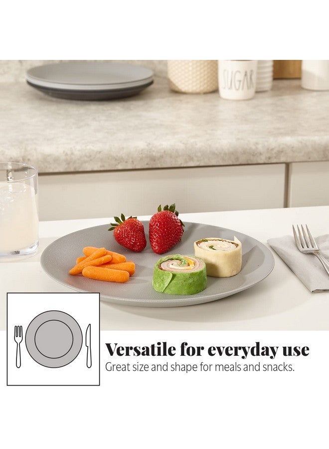 US Acrylic Everest Ultra-Durable Plastic 10 inch Dinner Plates in Grey Stone | Set of 6 Reusable, BPA-Free, Made in the USA, Dishwasher Safe Dinnerware - Image 4