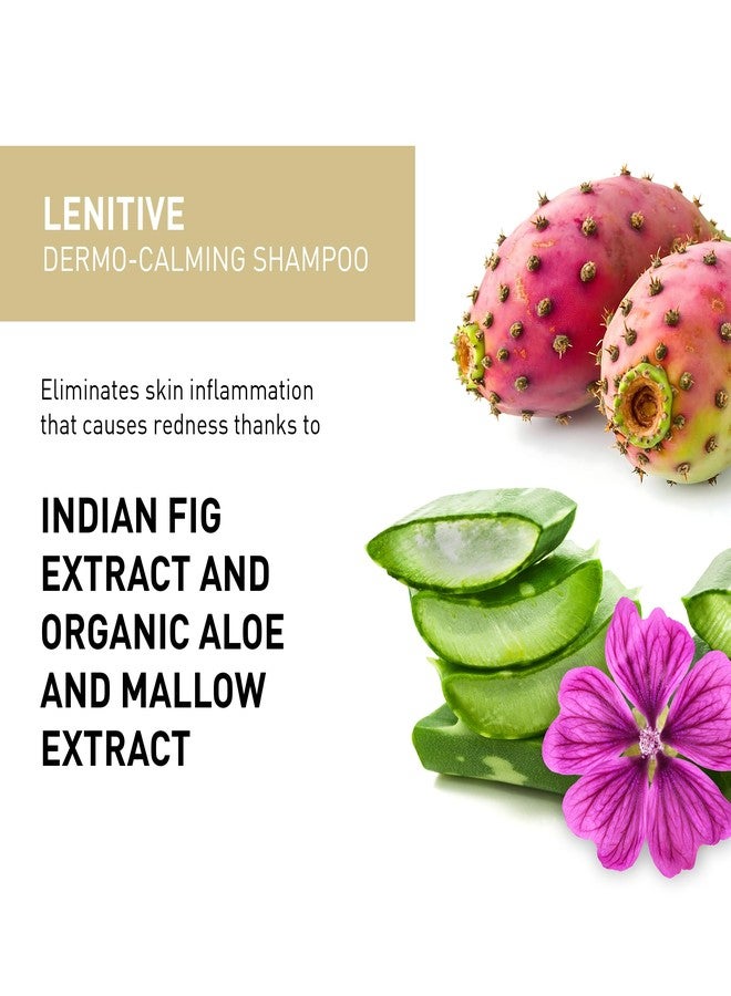 INSIGHT Lenitive Dermo-Calming Shampoo 13.5 oz - Image 4