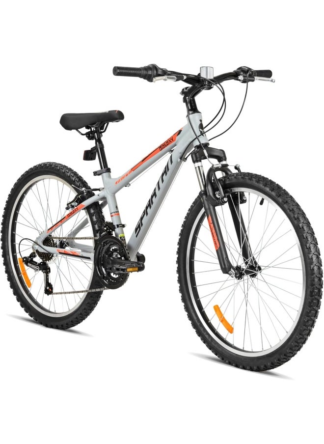 Spartan 24" Galaxy MTB - Gray/Ora  - Image 1