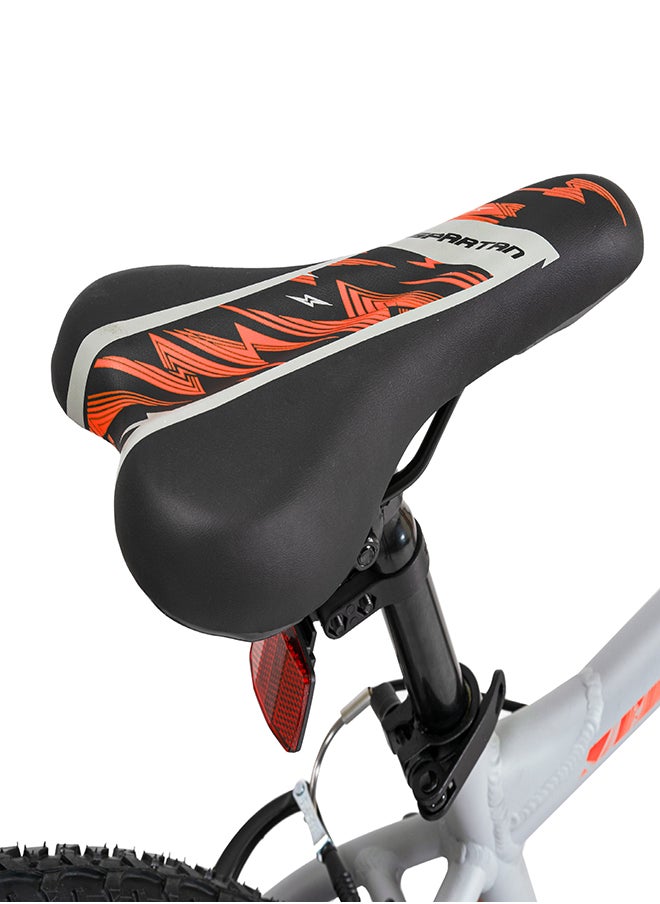 24" Galaxy MTB - Gray/Ora