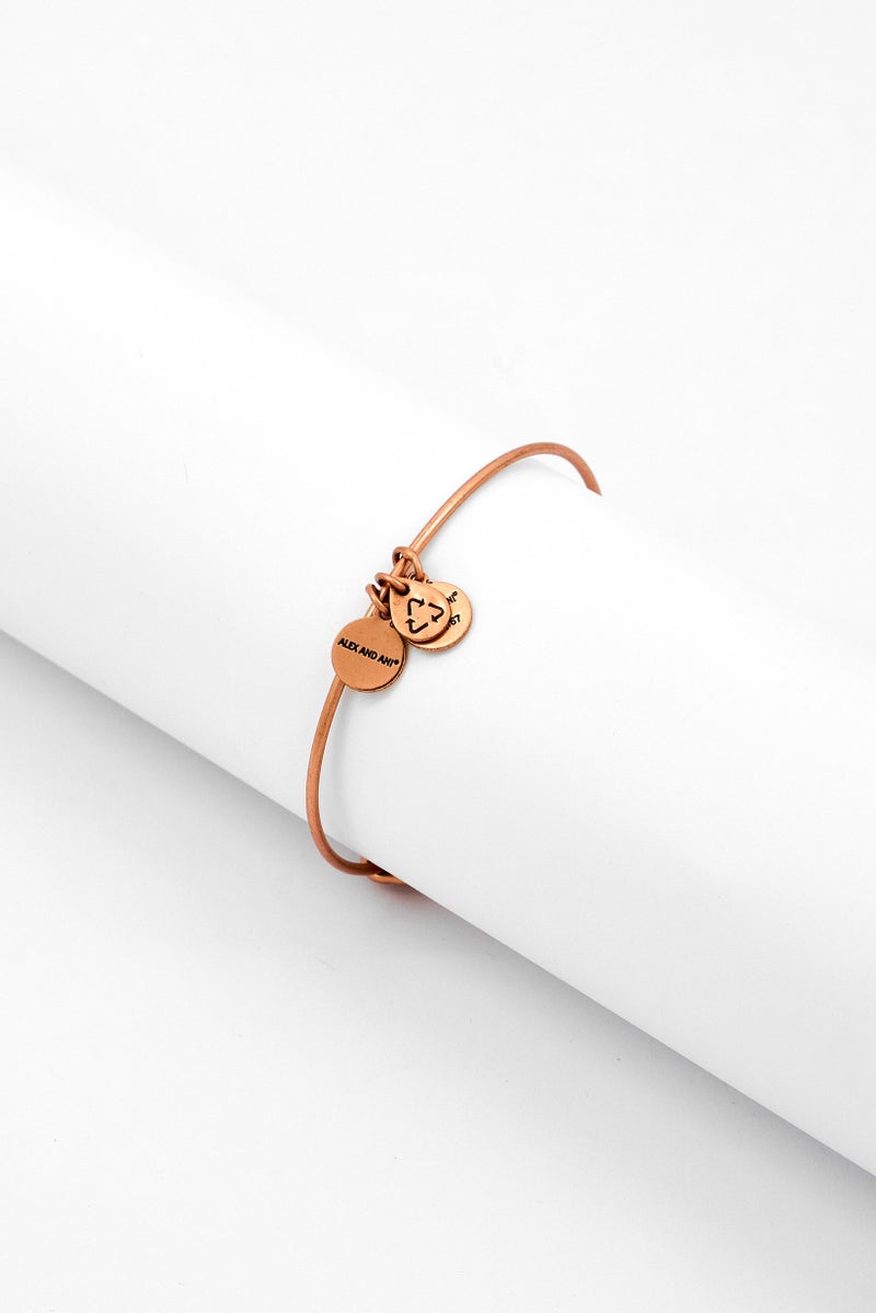 ALEX AND ANI Women Amour EWB Bangle Bracelet, Rose Gold  - Image 3
