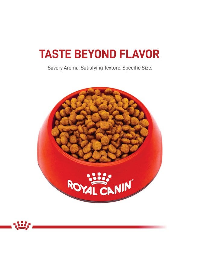 ROYAL CANIN Miniature Schnauzer Puppy Breed Specific Dry Dog Food, 2.5 Lb Bag - Image 5