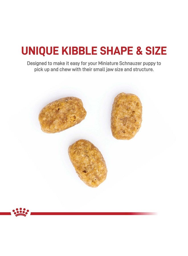 ROYAL CANIN Miniature Schnauzer Puppy Breed Specific Dry Dog Food, 2.5 Lb Bag - Image 2