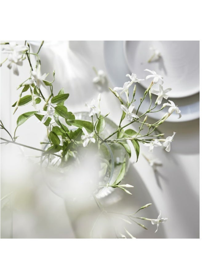 LUGNARE Scented Candle with Jasmine, Pear, Ginger & Lily of the Valley, Plant-Based Wax - Image 4