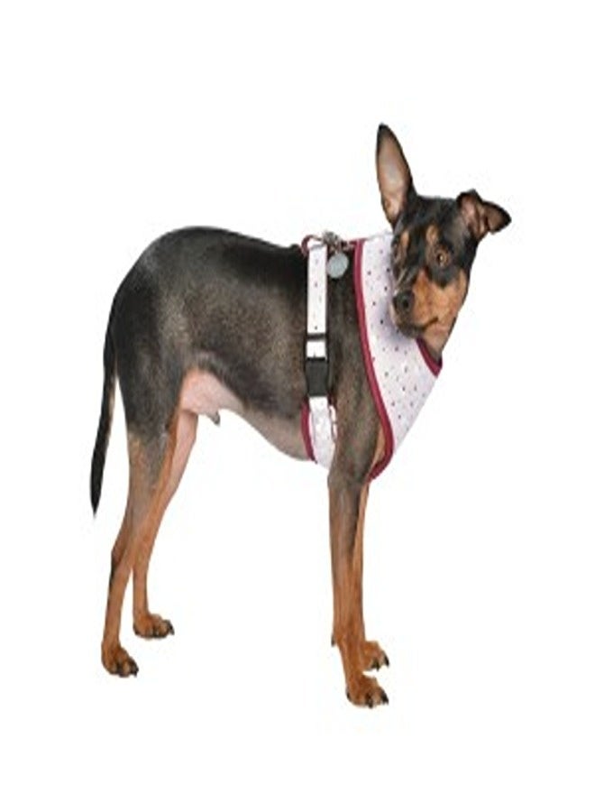 بوبي حزام تي شيرت منقط - بيج / متوسط