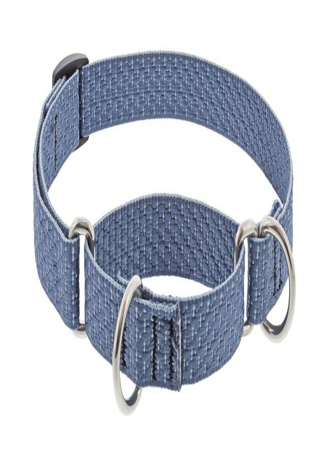 Lupine Martingale Small Dog Collar by Lupine ECO Collection 3/4" Wide Mountain Lake adjusts 10" to 14" - Image 1