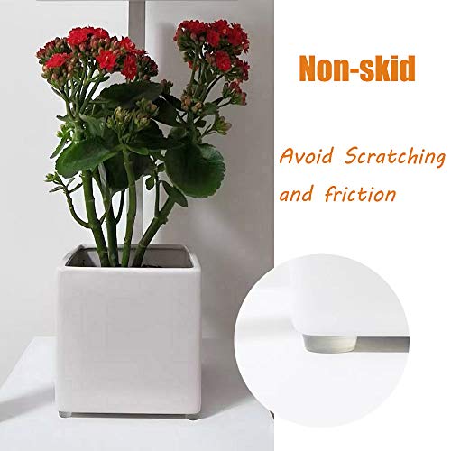 Rui Cabinet Door Bumpers Clear Self Adhesive Noise Dampening Bumper Pads 272Pcs Silicone Rubber Bumpers for Drawers Picture Frames Cutting Board and Furniture Surface Protection 5 Sizes Pack - Image 4