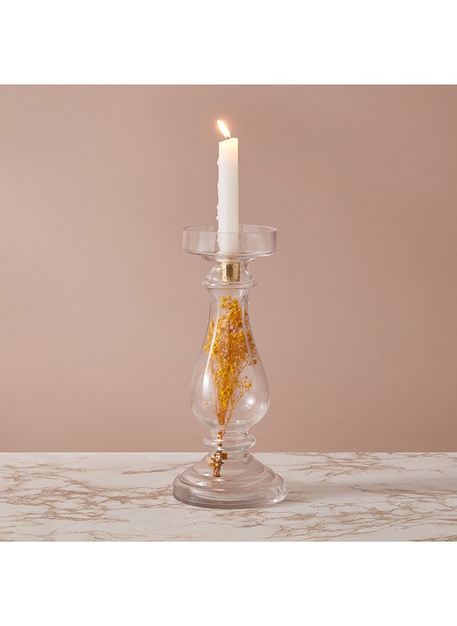 Oligo Dry Flower Glass Candleholder 12 x 28 x 12 cm - pzsku/Z405C76D5AD9757D2D394Z/45/_/1704966098/103b0f84-028f-4589-87ef-457bc3e8b562