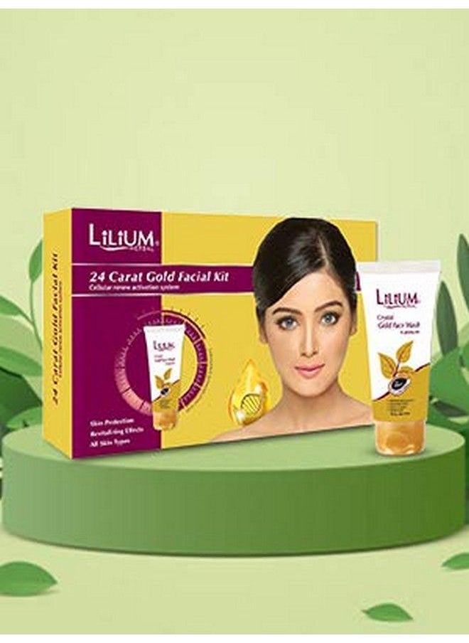 24 Carat Gold Facial Kit 80Gm With Free Face Wash 60Ml Worth Rs.60/ - pzsku/Z405D85E67247AE54366EZ/45/_/1690020859/efece77d-6496-403a-be86-bc478ed89a42