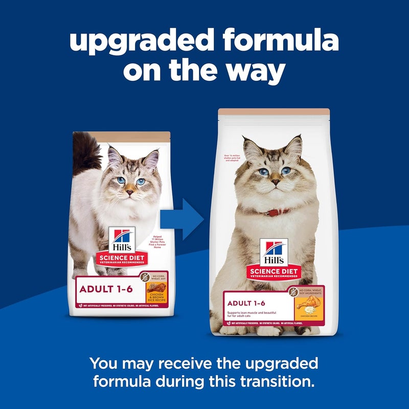 Hills هيلز ساينس دايت للبالغين 16 طعام جاف للقطط 16  تغذية متميزة بدون ذرة أو قمح أو صويا دجاج ووصفة الأرز البني 7 رطل - Image 2