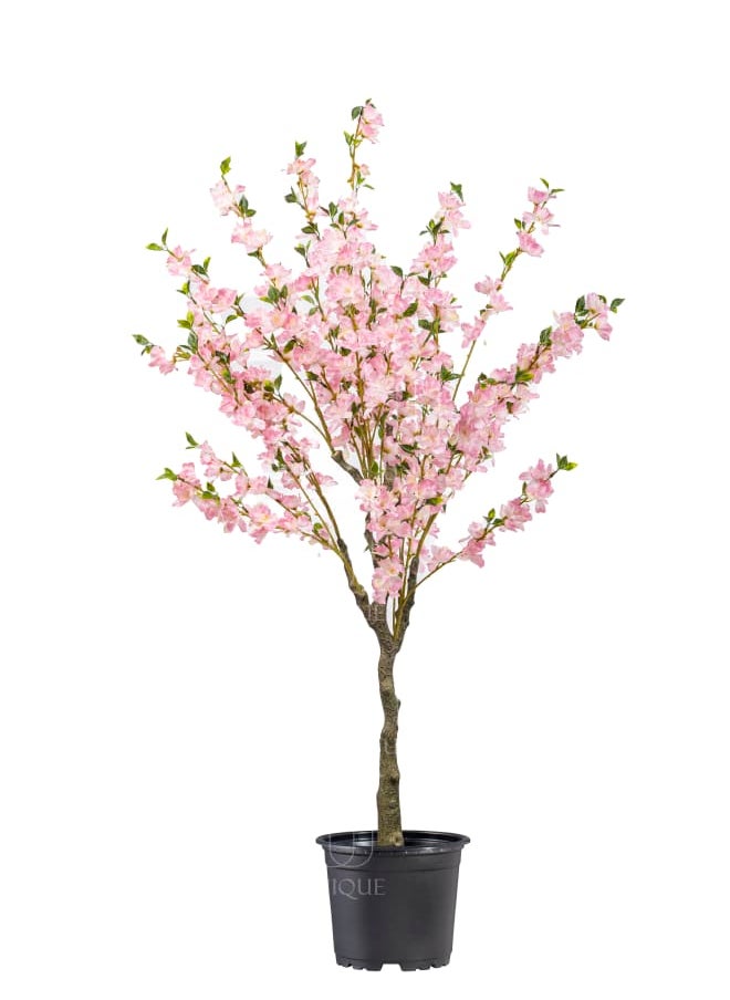 Unique Pots And Plants Cherry Blossom Pink H120CM  - Image 1