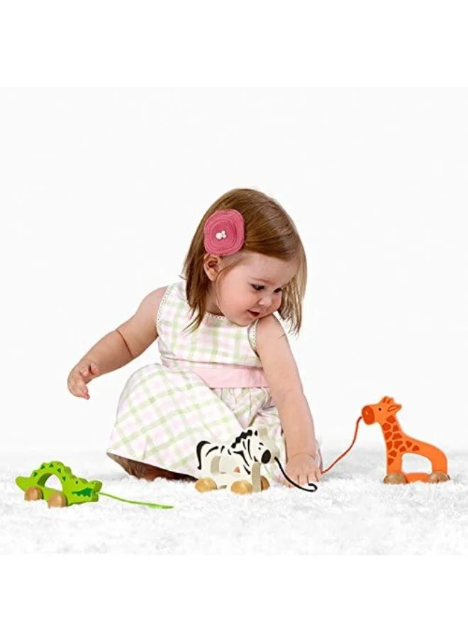 هيب Hape Giraffe Wooden Push And Pull Toy