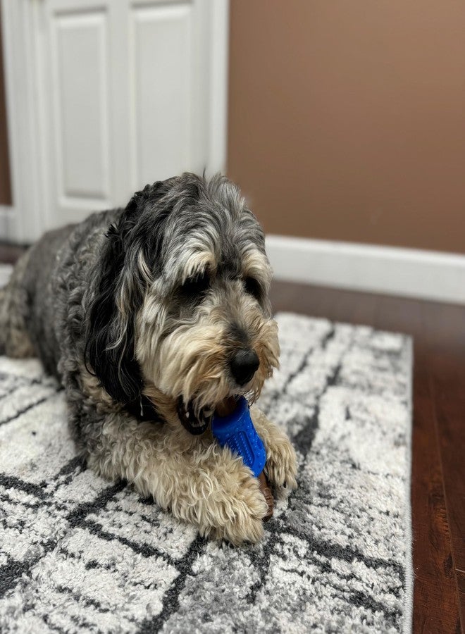 SPOT Bam-Bones Plus Dental Chew Bone - Bamboo Fiber & Nylon with a Massaging Rubber Center, Durable Long Lasting Oral Care Dog Chew for Moderate Chewers & Teething Puppies, 6.5in, Bacon Flavor - Image 4