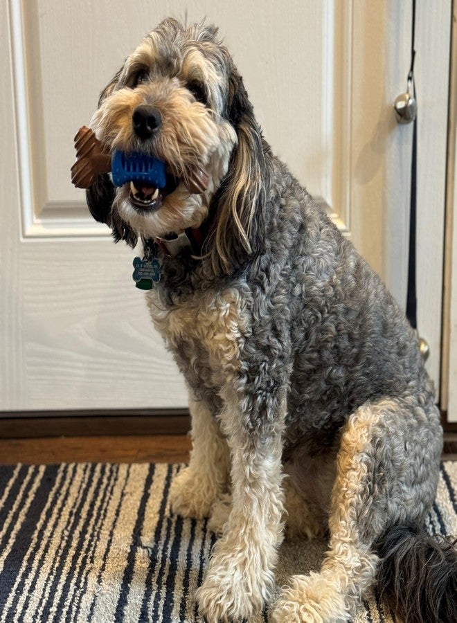 SPOT Bam-Bones Plus Dental Chew Bone - Bamboo Fiber & Nylon with a Massaging Rubber Center, Durable Long Lasting Oral Care Dog Chew for Moderate Chewers & Teething Puppies, 6.5in, Bacon Flavor - Image 5