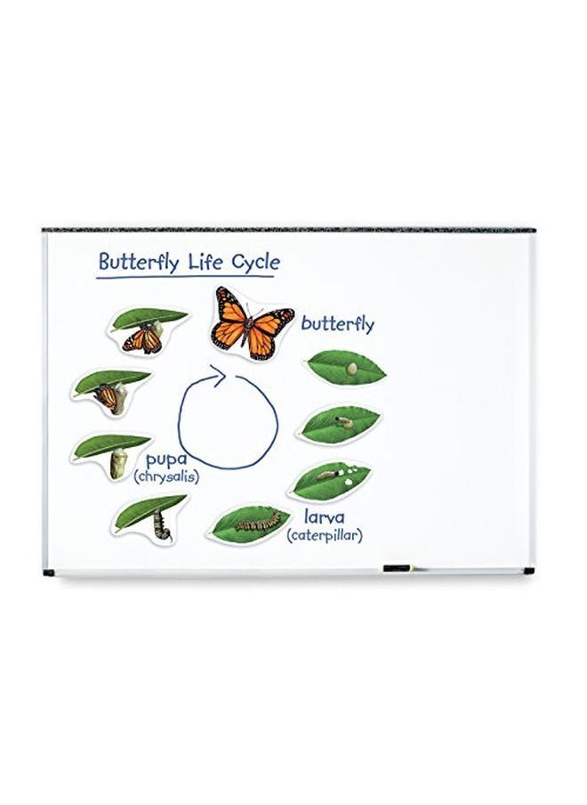 Learning Resources Butterfly Life Cycle 9 Write And Wipe Pieces Classroom Accessories Teaching Aids Ages 5+  - Image 2