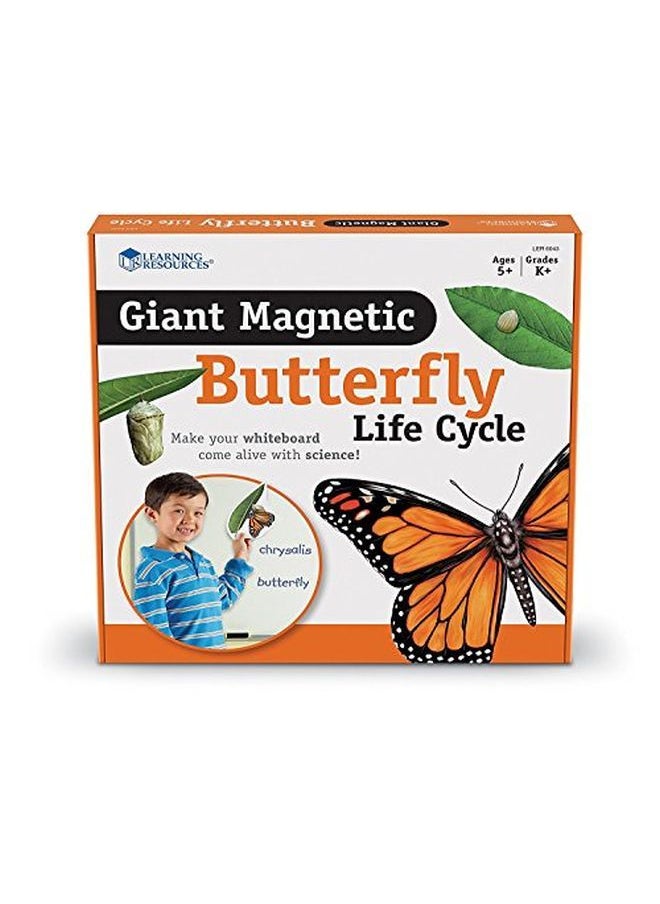 Learning Resources Butterfly Life Cycle 9 Write And Wipe Pieces Classroom Accessories Teaching Aids Ages 5+  - Image 1