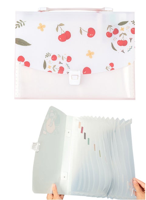 Accordion File Organizer, Expanding File Folder with Multi Pockets,Document Organizer with Handle & Labels,Portable Home Travel Safe Storage for Letter A4 Files and More